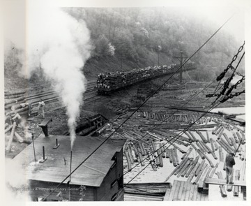 Cass, W. Va.; Logs floating in water and loaded on train; D.D. Brown Collection