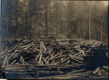Loggers pose atop a large pile of logs.