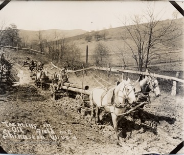 Team of horses hauling pipes through the mud.  