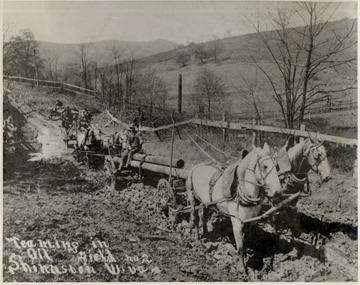 Teams of horses hauling pipe through the mud.  