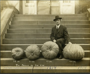 Harvey Harmer displays four of his pumpkins grown in Clarksburg, W. Va., weighing 38, 51, 67, and 104 pounds.