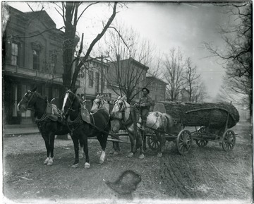 Four horses pull a cart loaded with a very large log.