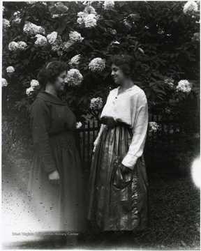 Two women standing in front of a blossoming bush and looking at each other.  Helvetia, W. Va.