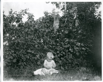 A baby sitting on a blanket near some trees in the grass in Helvetia, West Virginia.