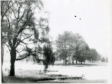 View of trees and pond at Kingwood Country Club, Preston County.