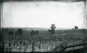 Battlefield from edge of wood on Confederate left looking Northeast. Gen. no. 66, neg. by D, No. 40. Date 1884, July 22. Tuesday, 11:10 A.M.