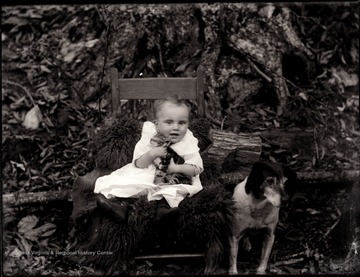 A portrait of infant in chair holding a tabby cat while a dog sits next to the chair.