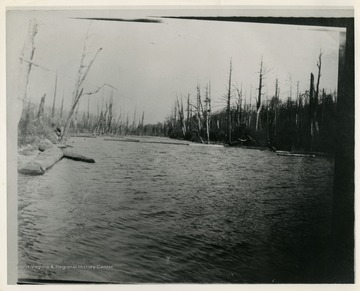 This image is part of the Thompson Family of Canaan Valley Collection. The Thompson family played a large role in the timber industry of Tucker County during the 1800s, and later prospered in the region as farmers, business owners, and prominent members of the Canaan Valley community.The location of the photograph is likely to be Blackwater River near Canaan Valley, W. Va.